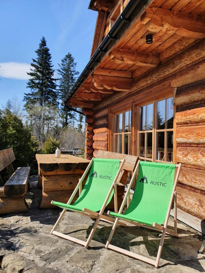 Nydala Rustic Villa Kościelisko Exteriör bild